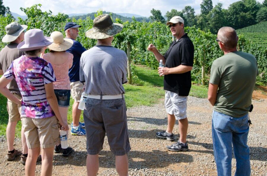 Catania, Taormina, Messina: 3 Etna Wineries Tour & Tasting