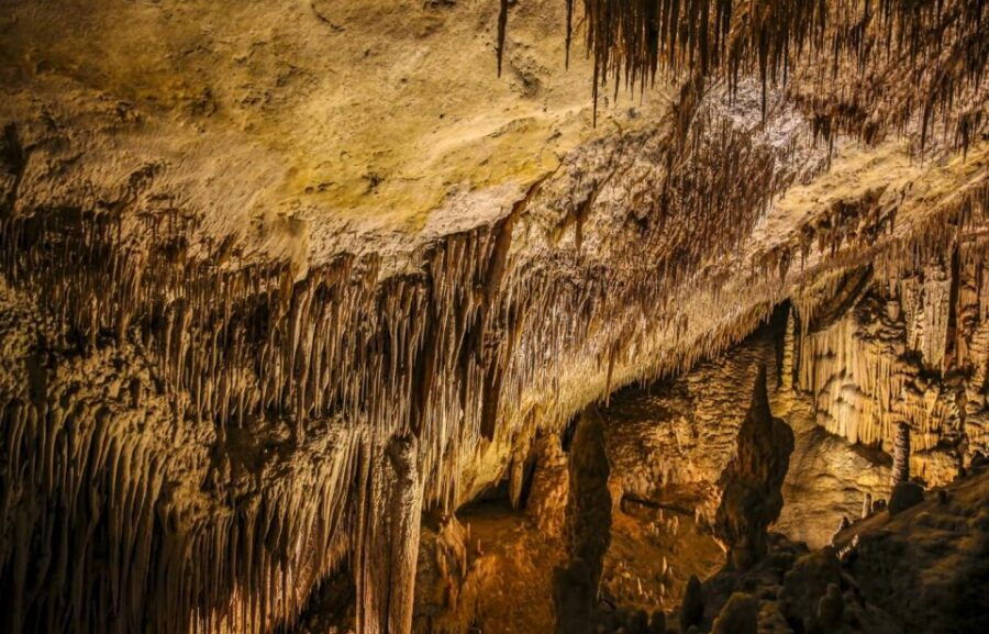 Caves of Drach: Entrance, Music Concert and Boat Trip