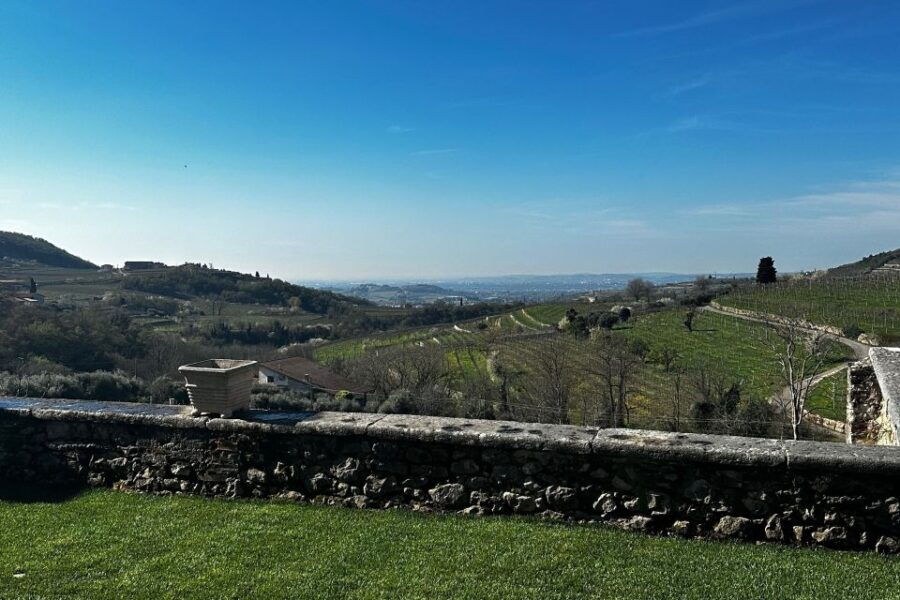 Celebrate Amarone: Italys Finest Wine