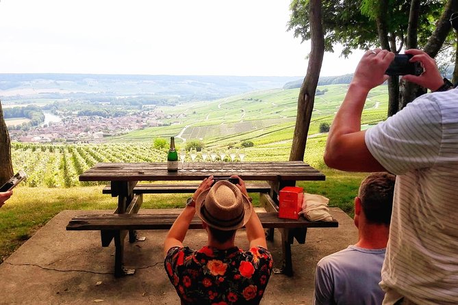 Champagne Cellars & Vineyards Tour From Reims Full Day - Good To Know