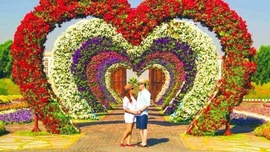 Chandigarh Airport to Ludhiana Transfer - Inclusions