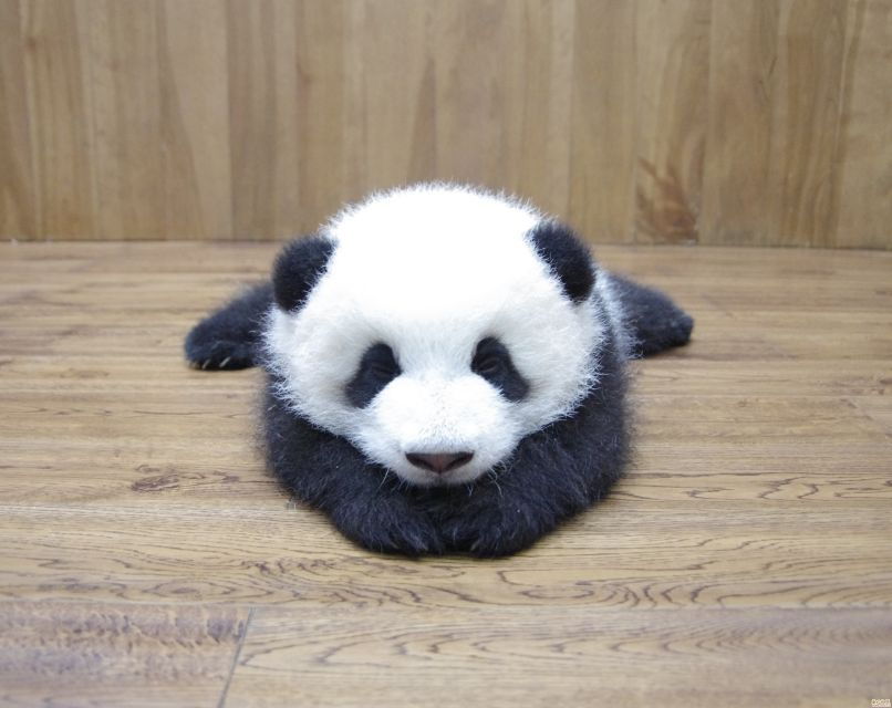 Chengdu: Private Full-Day Panda, City, Museum, & Park Tour - Important Information