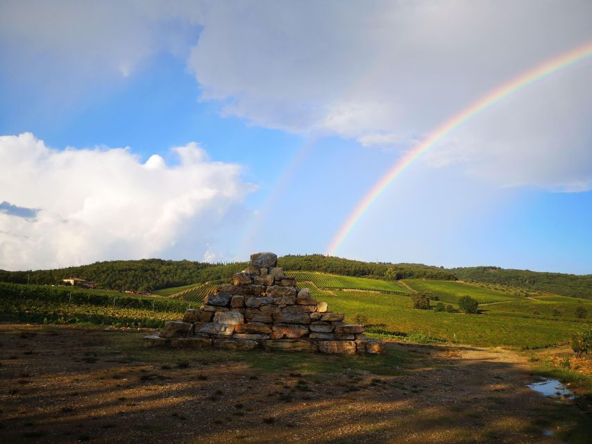 Chianti Classico Wine Tasting & Bruschetta Lunch - Activity Highlights