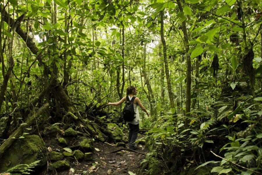 Chicaque Full-Day Trip From Bogotá - Good To Know