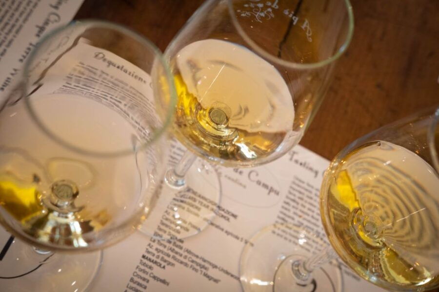 Cinque Terre: Wine Tasting and Walking Tour