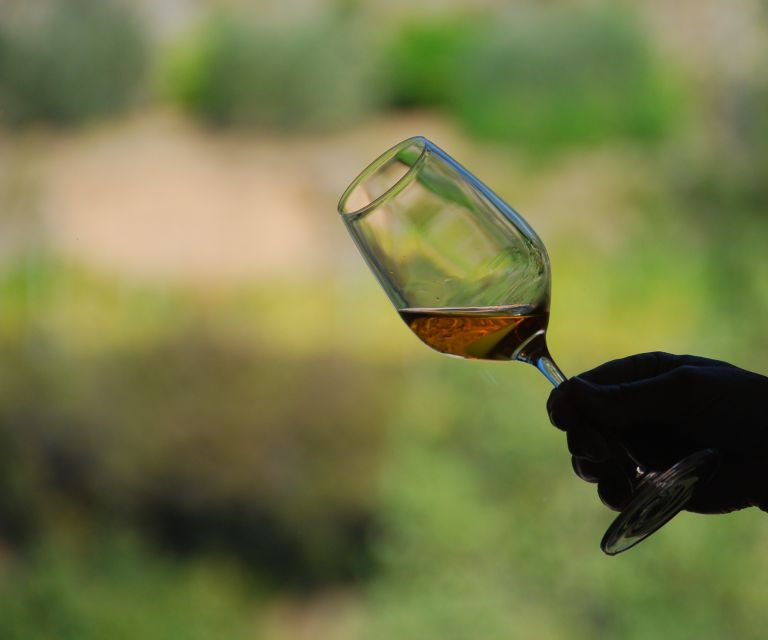 Cinque Terre: Wine Tasting in Monterosso - Good To Know