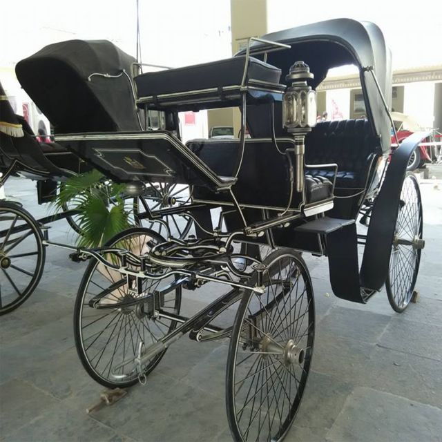 City Palace: Vintage Car Museum & Crystal Gallery Half-Day - Tour Highlights