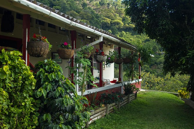 Coffee Farm Experience at Café De La Cima From Medellín