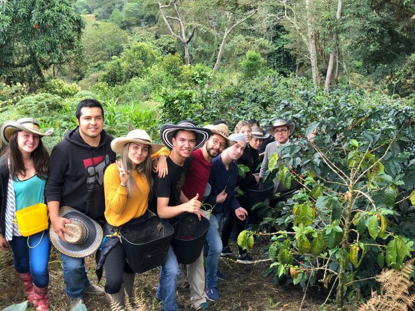 Coffee Tour and Salento Walking Tour With Lunch - Tour Description