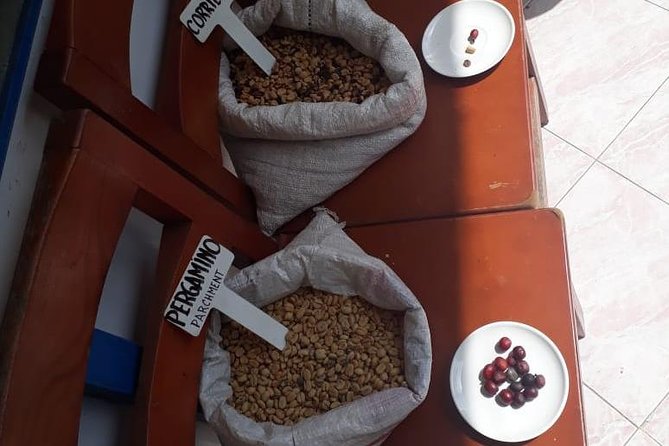 Coffee Tour Medellin
