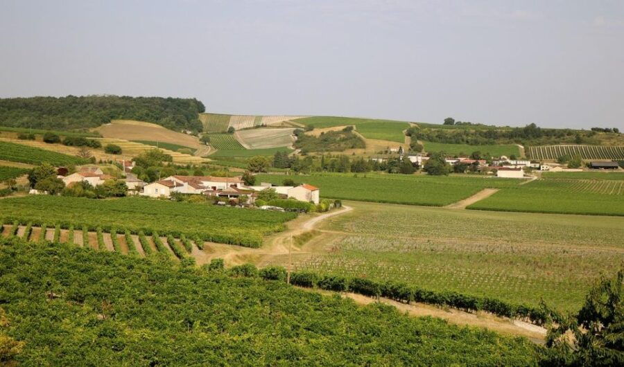 Cognac Private Guided Walking Tour