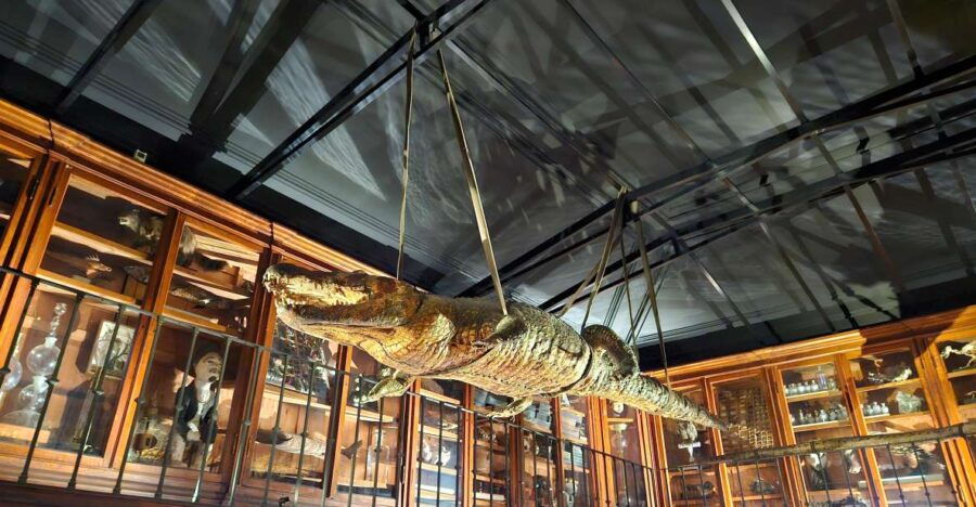 COIMBRA FULL DAY PRIVATE TOUR FROM LISBON - Good To Know