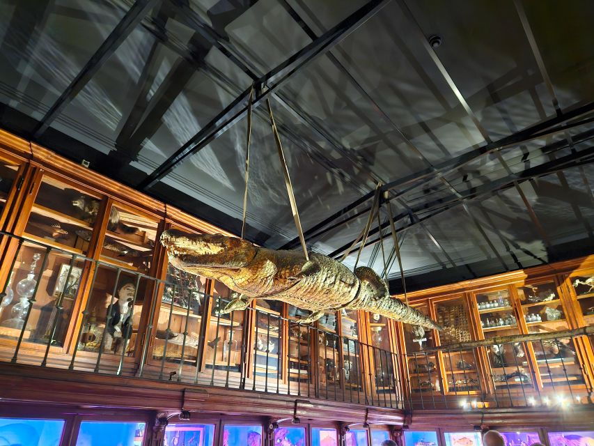 COIMBRA FULL DAY PRIVATE TOUR FROM PORTO - Good To Know