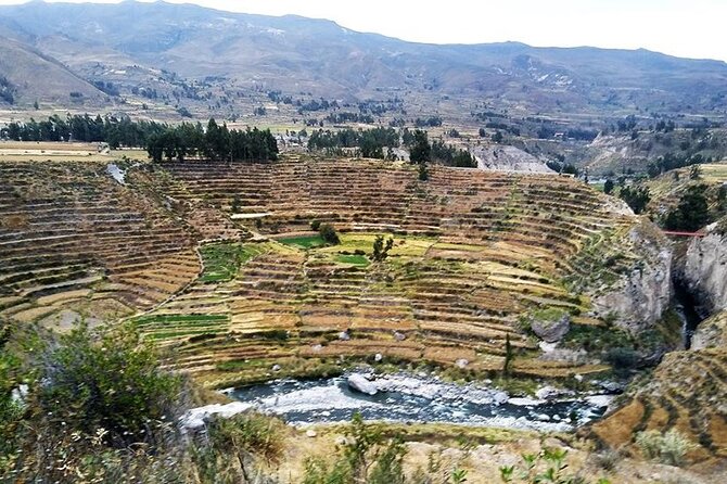 Colca Canyon Tour 2d Short Hiking +Overnight in Small Village Ending in Arequipa