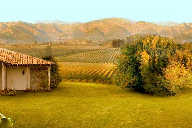 Colchagua Full Day Wine Tour: Casa Silva & LApostolle Wineries