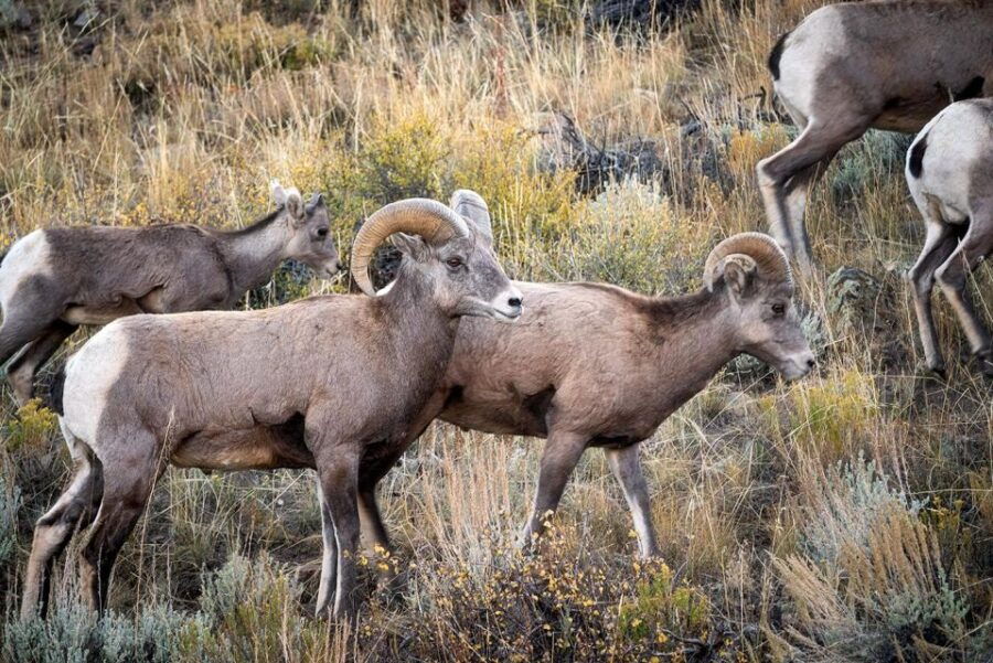 Colorado Fall Color Photography Workshop - Good To Know