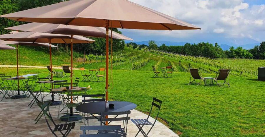 Conegliano: Prosecco Hills and Vineyards Tour