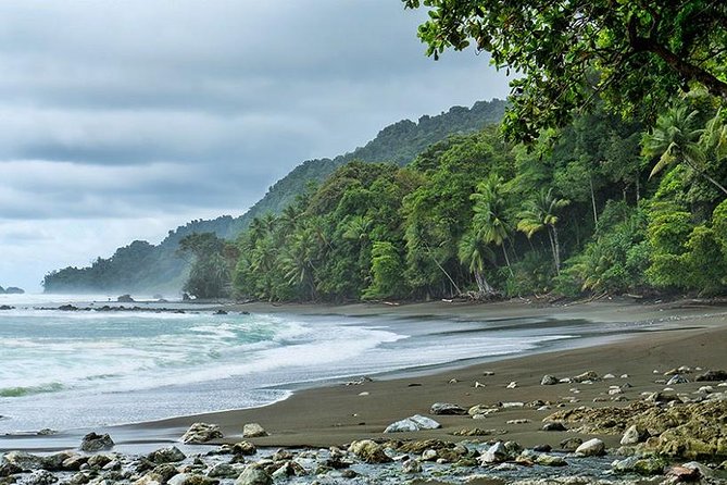 Corcovado National Park One Day Tour - Good To Know