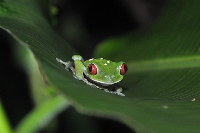 Corcovado National Park Overnight Tour-One Night at Sirena Station - Good To Know