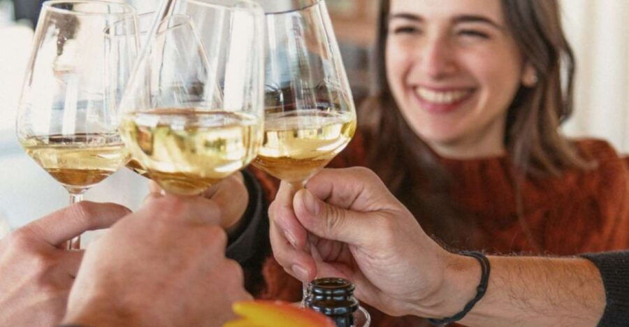 Cori: Guided Winery Tour With Light Lunch and Wine Tasting - Booking Information