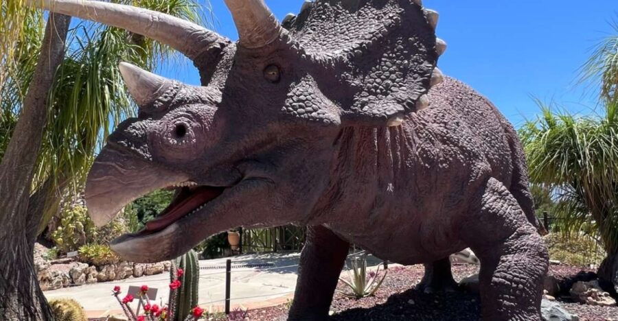 Costa Blanca: DinoPark Algar Entry Ticket - Good To Know