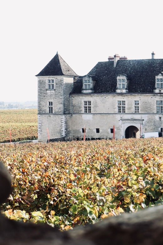 Côte De Beaune and Côte De Nuits : Private Full Day Winetour