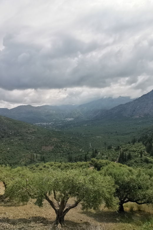 Crete: Island Jeep Tour With BBQ - Inclusions and Highlights