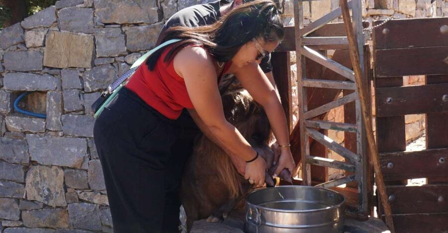 Crete: Shepherd’S Life & Psiloritis Mountain Tour With Meal