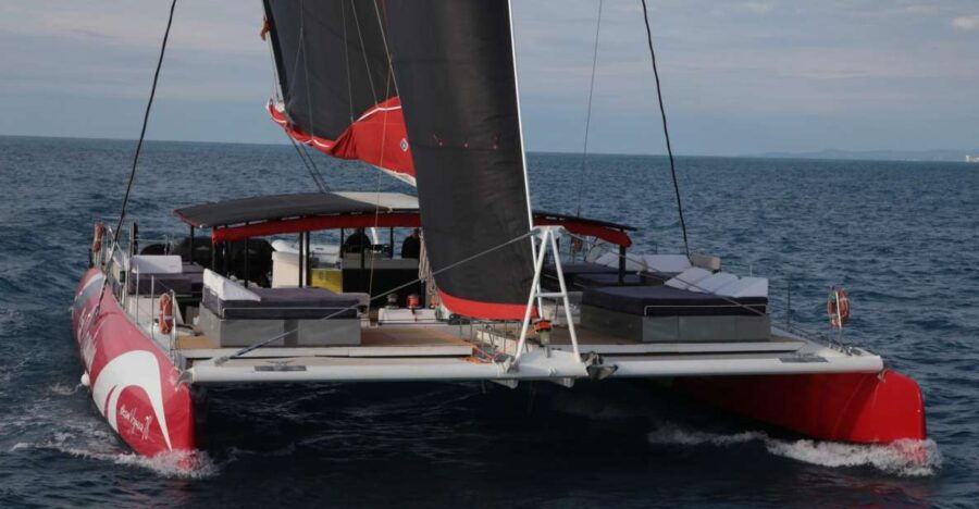 Cruiser Catamaran 1h With 1 Drink and Pickup