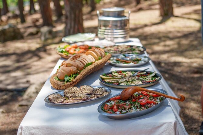 Cuddling and Picnic With Donkeys at Monte Cresia