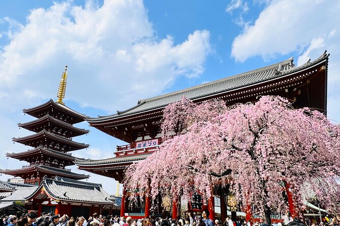 Customizable 2-4hr Walking Tour of Tokyo - Good To Know