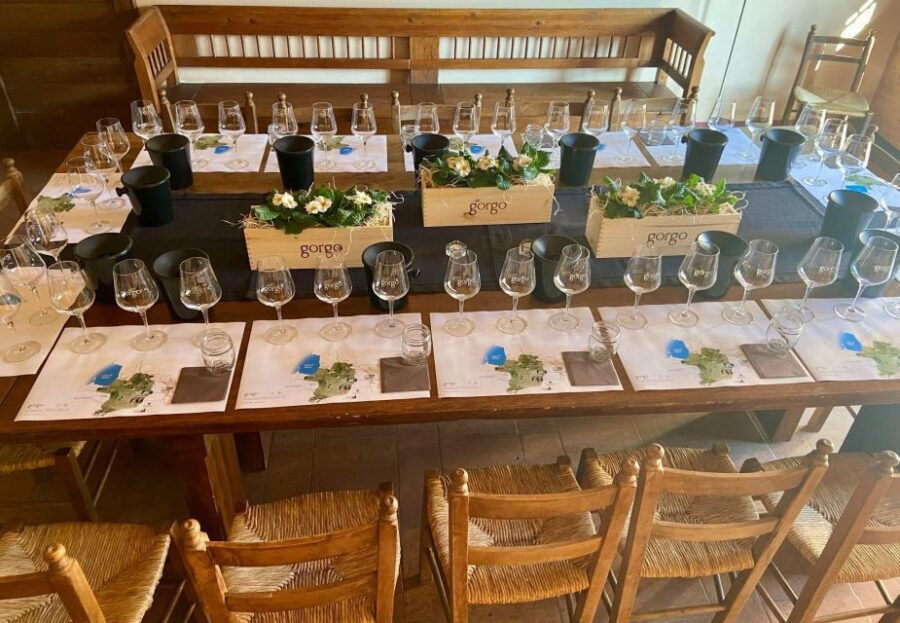 Custoza: Organic Wine Tasting With Vineyard and Cellar Tour