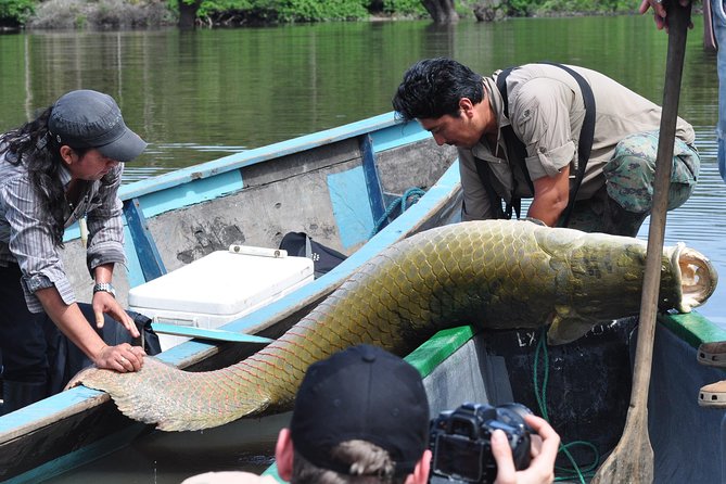 Cuyabeno 4 Day Jungle Tour - Tour Highlights