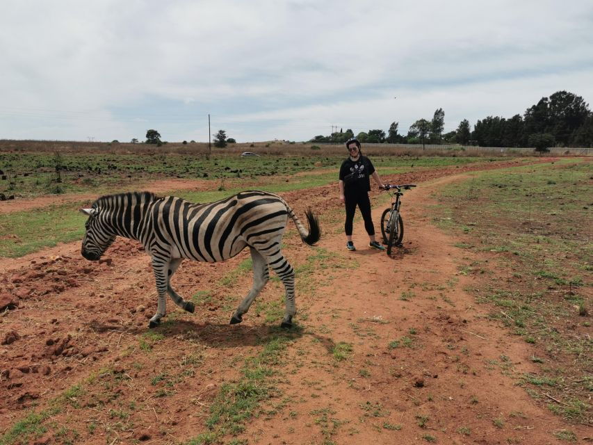 Cycle With Wild Animals (No Predators, Quality Cycles) - Good To Know
