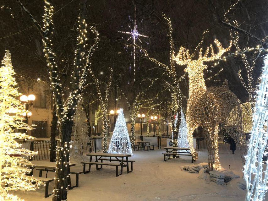 Dallas Holiday Splendor: A Festive Walk - Good To Know
