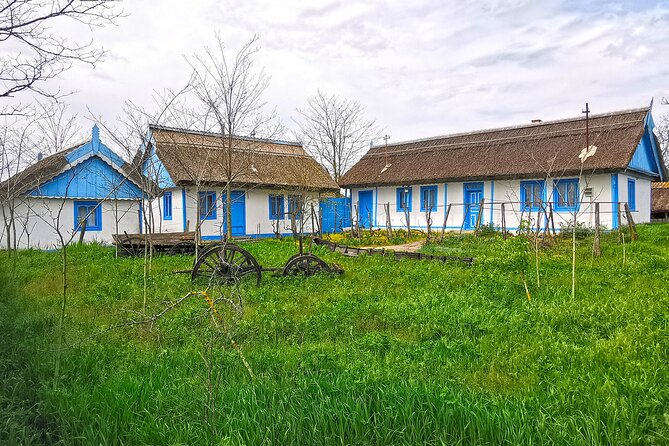 Danube Delta PRIVATE Boat Trip to Letea Forest (Guided Tour) - Itinerary