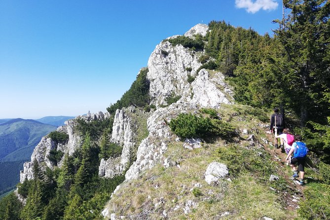 Day Hike PRIVATE - Piatra Craiului National Park - Activity Details