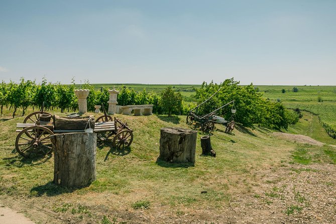 Dealu Mare Wine Country Tour - Lunch Included - Itinerary Highlights