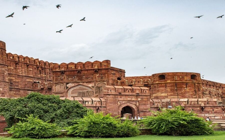 Delhi: All-inclusive Taj Mahal & Agra Fort Guided Day Trip - Trip Details