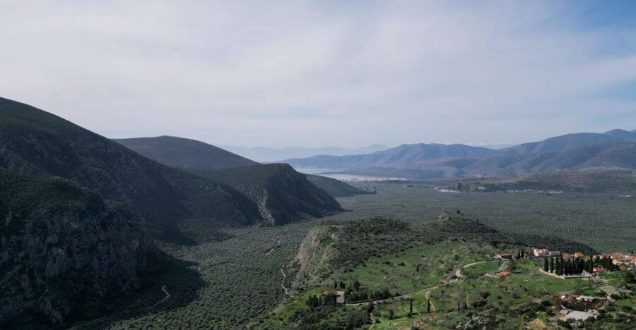 Delphi: Easy Hike on Ancient Path Through the Olive Groves - Highlights and Inclusions