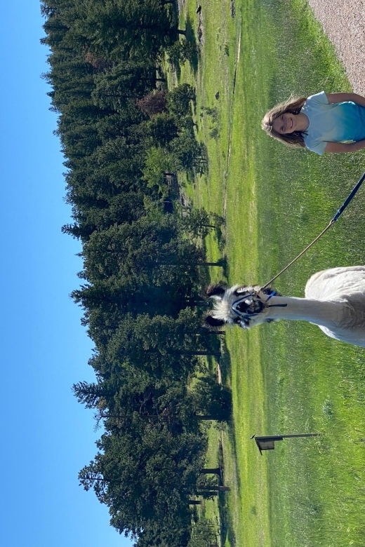 Denver: Llama Hike in the Rocky Mountains - Good To Know