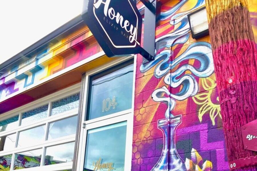 Denvers Famous Murals & Street Art Unplugged Tour