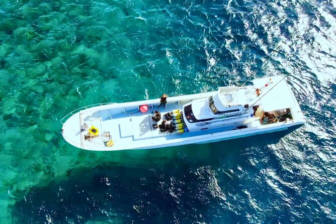 Departing From Onna Village (Maeda Fishing Port)! Fishing Experience/Trolling | Complete Boat Charter Plan (4 Hour Course/7 Hour Course) - Good To Know