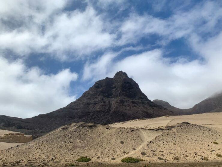 Desert Land Safari Tour 4x4 - Tour Pricing and Availability