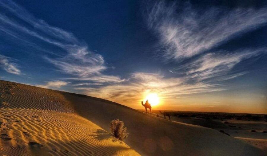 Desert Rose Jaisalmer: Non-Touristic,Billion Star Experience