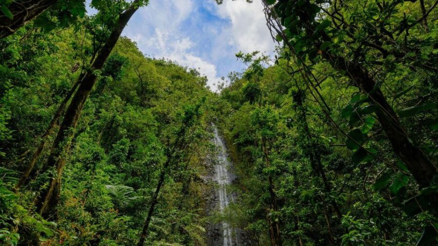 Diamond Head Manoa Falls