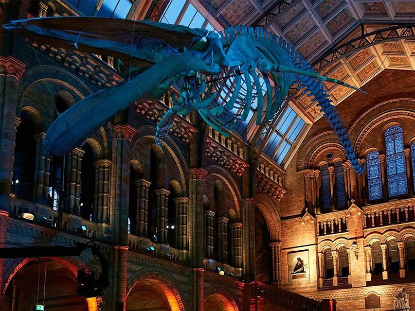 Discover Londons Natural Wonders: Museum Expedition