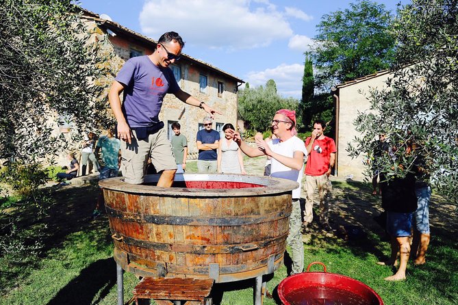 Discover Organic and Biodynamic Chianti Small Wineries - Good To Know