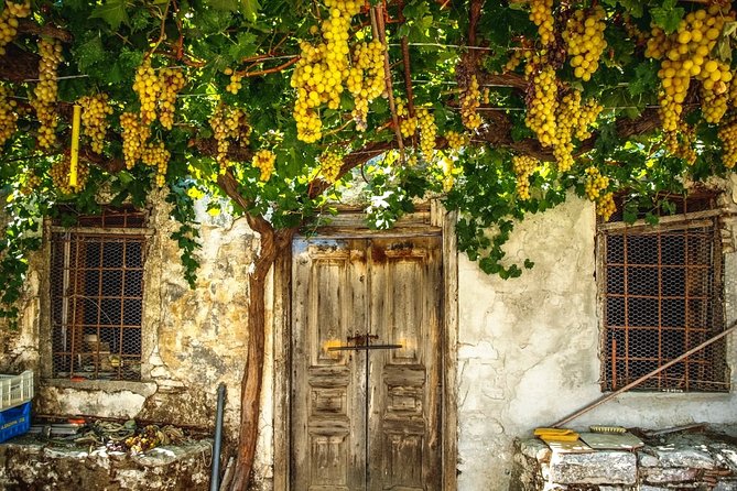 Discover Rhodes: Filerimos, Butterflies, Kameiros, Prof Guide - Tour Highlights
