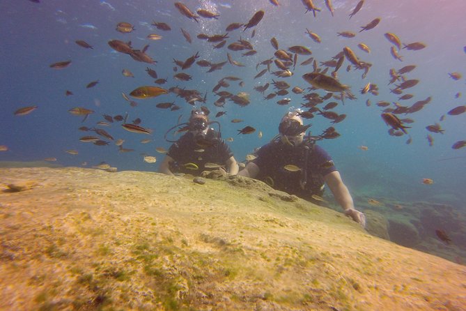 Discover Scuba Diving - Good To Know
